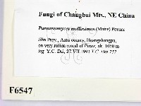 登錄號:F0006547藏品圖，第2張