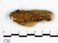 登錄號:F0006547藏品圖，第1張