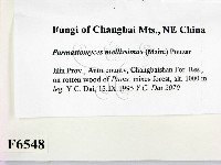 登錄號:F0006548藏品圖，第2張