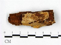 登錄號:F0006548藏品圖，第1張