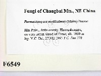 登錄號:F0006549藏品圖，第2張