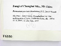 登錄號:F0006550藏品圖，第2張