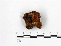 登錄號:F0006550藏品圖，第3張
