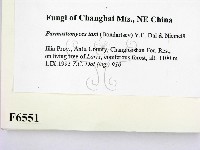 登錄號:F0006551藏品圖，第2張