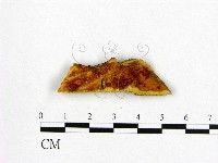 登錄號:F0006551藏品圖，第1張