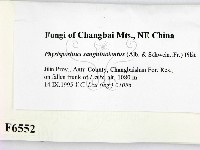 登錄號:F0006552藏品圖，第2張