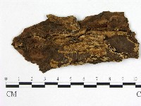 登錄號:F0006552藏品圖，第3張