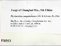 登錄號:F0006553藏品圖，第2張