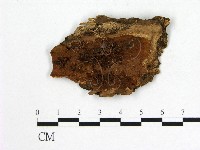 登錄號:F0006553藏品圖，第1張