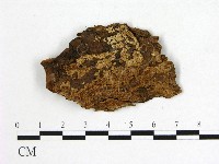 登錄號:F0006553藏品圖，第3張