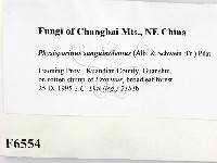 登錄號:F0006554藏品圖，第2張