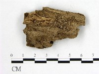 登錄號:F0006554藏品圖，第3張