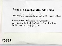 登錄號:F0006555藏品圖，第2張