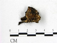 登錄號:F0006555藏品圖，第1張