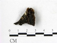 登錄號:F0006555藏品圖，第3張