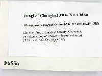 登錄號:F0006556藏品圖，第2張