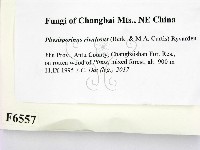 登錄號:F0006557藏品圖，第2張