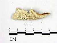 登錄號:F0006557藏品圖，第3張