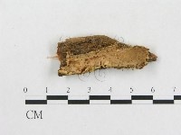 登錄號:F0006558藏品圖，第1張