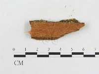 登錄號:F0006558藏品圖，第3張