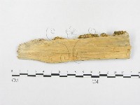 登錄號:F0006559藏品圖，第3張