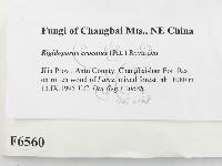 登錄號:F0006560藏品圖，第2張