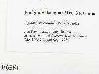 登錄號:F0006561藏品圖，第2張