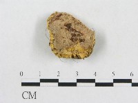 登錄號:F0006561藏品圖，第1張