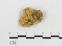 登錄號:F0006561藏品圖，第3張