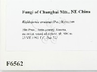 登錄號:F0006562藏品圖，第2張