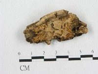 登錄號:F0006562藏品圖，第1張