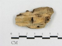 登錄號:F0006562藏品圖，第3張