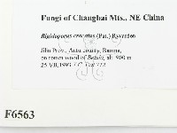 登錄號:F0006563藏品圖，第2張