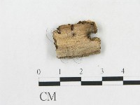 登錄號:F0006563藏品圖，第3張