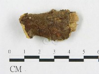 登錄號:F0006564藏品圖，第1張