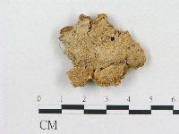 登錄號:F0006565藏品圖，第3張