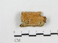 登錄號:F0006566藏品圖，第1張