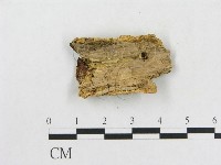 登錄號:F0006566藏品圖，第3張