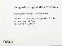 登錄號:F0006567藏品圖，第2張