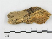 登錄號:F0006567藏品圖，第1張