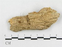 登錄號:F0006567藏品圖，第3張