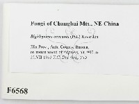 登錄號:F0006568藏品圖，第2張