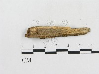 登錄號:F0006568藏品圖，第1張