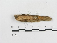 登錄號:F0006568藏品圖，第3張