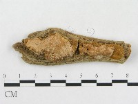 登錄號:F0006569藏品圖，第1張