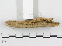 登錄號:F0006569藏品圖，第4張