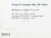 登錄號:F0006571藏品圖，第2張