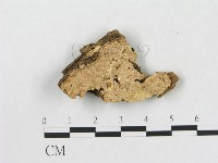 登錄號:F0006571藏品圖，第1張