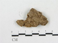 登錄號:F0006571藏品圖，第3張