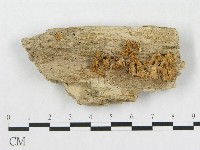 登錄號:F0006572藏品圖，第1張